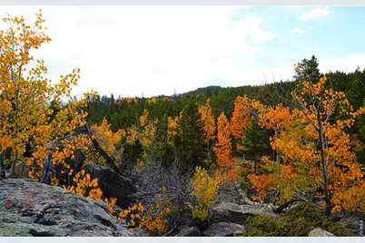 1311 Shoshoni Dr, Red Feather Lakes, CO 80545 - Photo 37