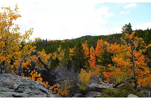 1311 Shoshoni Dr, Red Feather Lakes, CO 80545 - Photo 37