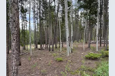 2581 Shoshoni Dr, Red Feather Lakes, CO 80545 - Photo 7