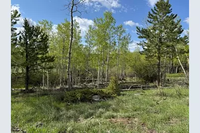 137 Cimarron Rd, Red Feather Lakes, CO 80545 - Photo 11