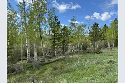 137 Cimarron Rd, Red Feather Lakes, CO 80545 - Photo 9