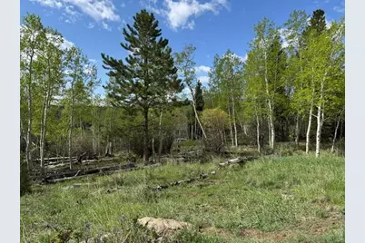 137 Cimarron Rd, Red Feather Lakes, CO 80545 - Photo 3