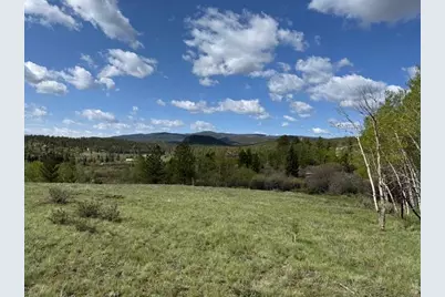 137 Cimarron Rd, Red Feather Lakes, CO 80545 - Photo 13