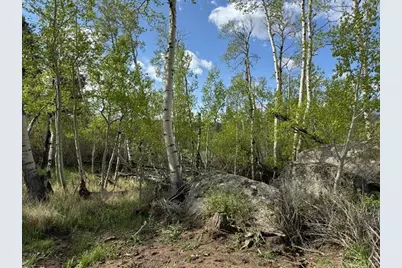 137 Cimarron Rd, Red Feather Lakes, CO 80545 - Photo 7