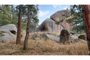 14142 N St Vrain Dr, Lyons, CO 80540 - Photo 49