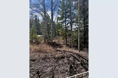 43 Chetco Ct, Red Feather Lakes, CO 80545 - Photo 15