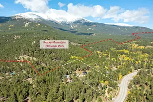 11982 Peak To Peak Dr, Allenspark, CO 80510 - Photo 3
