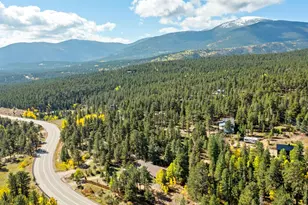 11982 Peak To Peak Dr, Allenspark, CO 80510 - Photo 11
