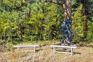 11982 Peak To Peak Dr, Allenspark, CO 80510 - Photo 43