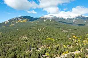 11982 Peak To Peak Dr, Allenspark, CO 80510 - Photo 15