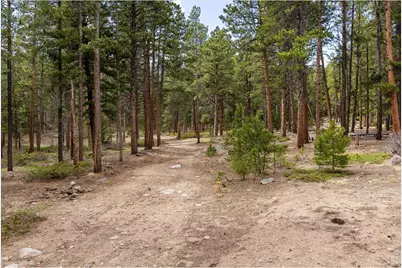 0 1st St, Nederland, CO 80466 - Photo 15