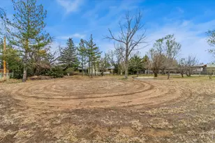 1617 S Co Rd 5, Fort Collins, CO 80525 - Photo 19