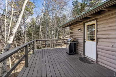 150 Mount Fisher Ct, Livermore, CO 80536 - Photo 23