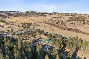 150 Mt Fisher Ct, Livermore, CO 80536 - Photo 35