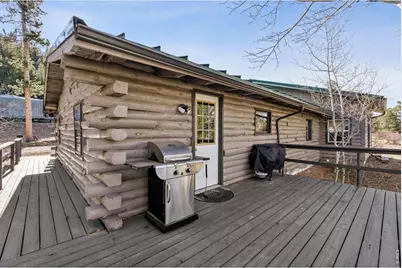 150 Mount Fisher Ct, Livermore, CO 80536 - Photo 27