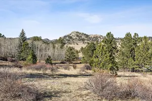 150 Mt Fisher Ct, Livermore, CO 80536 - Photo 33