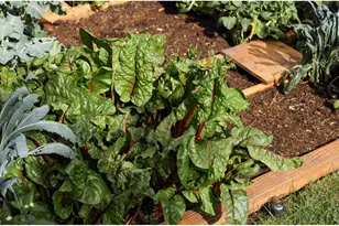 103 Estes Ct, Lyons, CO 80540 - Photo 11