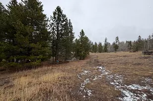 885 Pratt Crk Rd, Livermore, CO 80536 - Photo 9