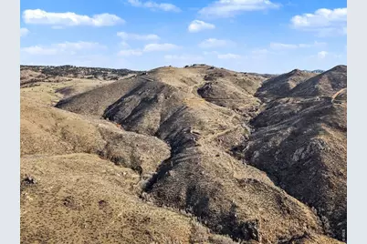 1634 Horse Mountain Dr, Livermore, CO 80536 - Photo 11