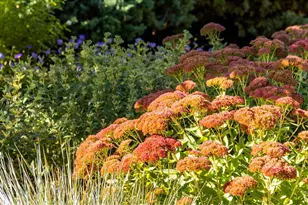 525 Linden View Dr, Fort Collins, CO 80524 - Photo 35