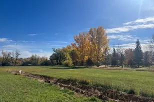 2916 N Shields St, Fort Collins, CO 80524 - Photo 3