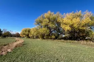 2916 N Shields St, Fort Collins, CO 80524 - Photo 47