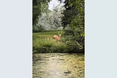 1901 Waters Edge St #E, Fort Collins, CO 80526 - Photo 45