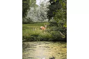 1901 Waters Edge St, Fort Collins, CO 80526 - Photo 45