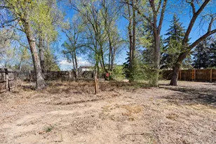 910 E Elizabeth St, Fort Collins, CO 80524 - Photo 11