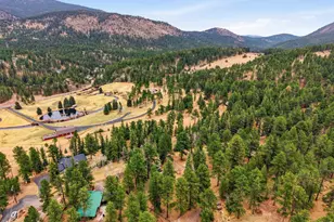 28 Red Lily Pl, Evergreen, CO 80439 - Photo 45