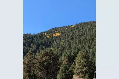 1312 Chute Rd, Golden, CO 80403 - Photo 9