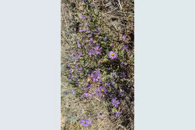 1312 Chute Rd, Golden, CO 80403 - Photo 31