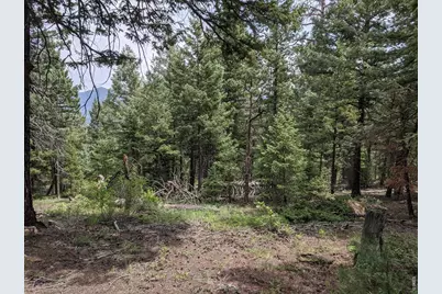 1312 Chute Rd, Golden, CO 80403 - Photo 7