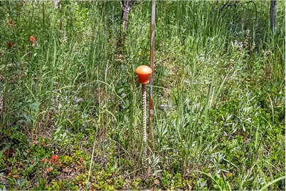 1568 County Road 103, Nederland, CO 80466 - Photo 13