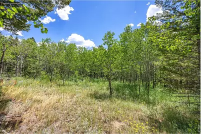 1568 County Road 103, Nederland, CO 80466 - Photo 5