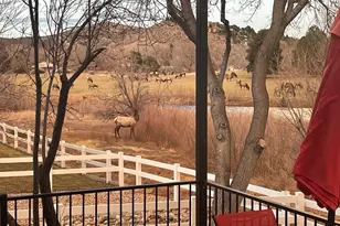 4339 Golf Vista Dr, Loveland, CO 80537 - Photo 3