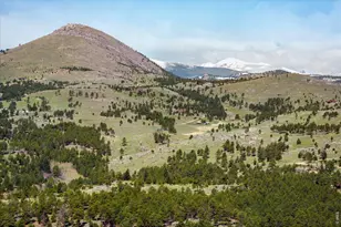 201 Wild Tiger Rd, Boulder, CO 80302 - Photo 33