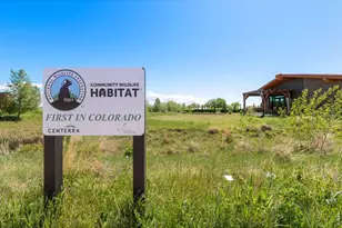 4139 S Park Dr, Loveland, CO 80538 - Photo 31