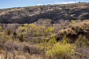 7050 Milner Mountain Ranch Rd, Loveland, CO 80538 - Photo 47