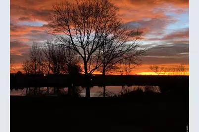 612 W County Road 74, Wellington, CO 80549 - Photo 3