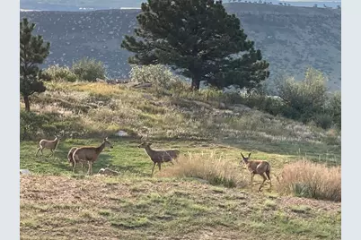 15757 Mossrock Ct, Longmont, CO 80503 - Photo 35
