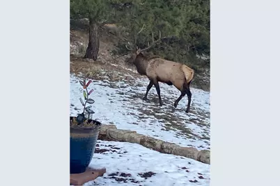 15757 Mossrock Ct, Longmont, CO 80503 - Photo 37
