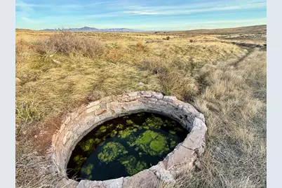 8157 Ferret Cir, Livermore, CO 82070 - Photo 29