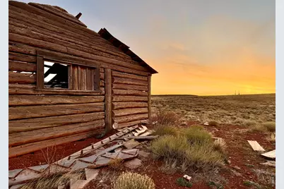 8157 Ferret Cir, Livermore, CO 82070 - Photo 23