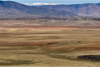 8157 Ferret Cir, Livermore, CO 82070 - Photo 33