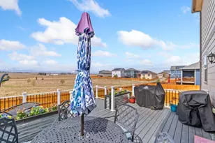 14553 Holstein Dr, Mead, CO 80542 - Photo 29