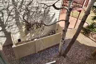 3615 Terry Point Dr, Fort Collins, CO 80524 - Photo 13