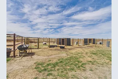 41227 County Road 84, Briggsdale, CO 80611 - Photo 33