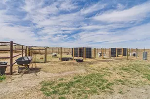 41227 Co Rd 84, Briggsdale, CO 80611 - Photo 33