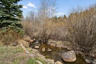 609 W 4th St, Nederland, CO 80466 - Photo 3